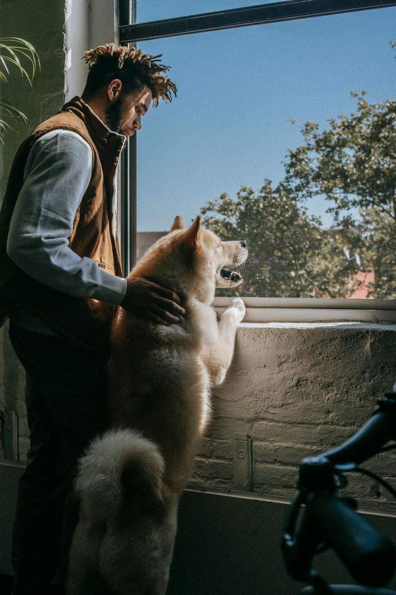 Winterpflege für Haustiere: Tipps und Tricks