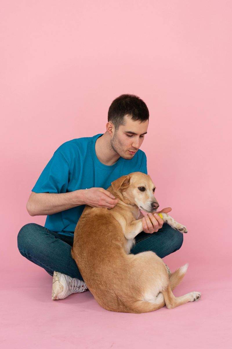 Tierarztpraxis GesundPfote - Image 3